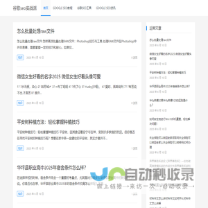 谷歌seo实战派 – Google 外贸seo网站优化推广教程